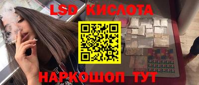 крисы Краснодар