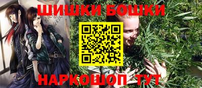 крисы Краснодар