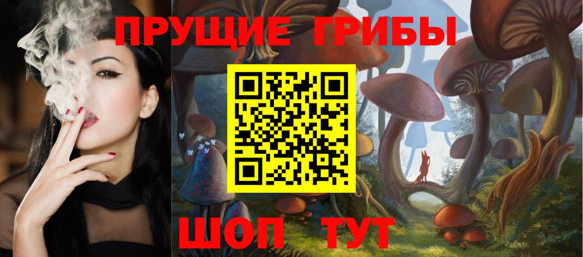 Галлюциногенные грибы Psilocybine cubensis  Вход с VPN  Кохма 