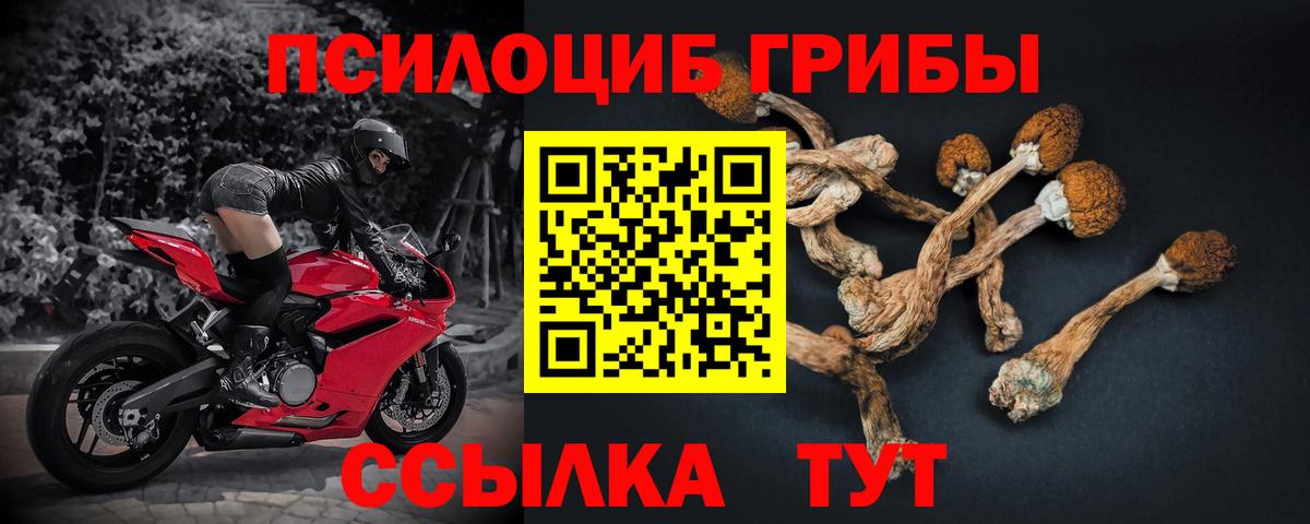 Гашиш  МЕФ   Cocaine  Купить  Кохма  Вход с VPN  Альфа ПВП СОЛЬ кристаллы  ГАШИШ  Каннабис 