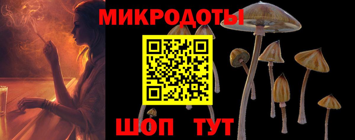 Галлюциногенные грибы GOLDEN TEACHER Кохма